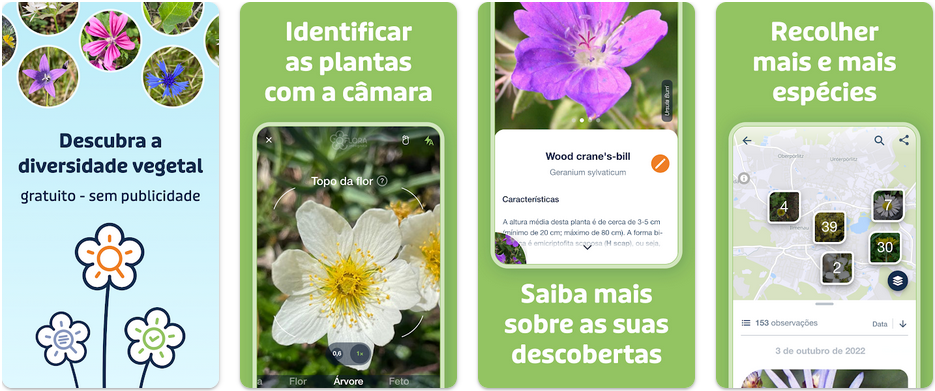 Imagens do aplicativo Flora Incognita